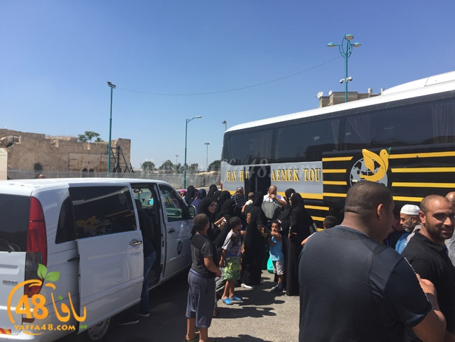 lud mo3tmreajn (29).jpg